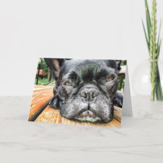 Queen FiFi Greeting Card Thinking Of Your