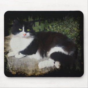 Queen of the Garden Cat Mausepad Mouse Pad
