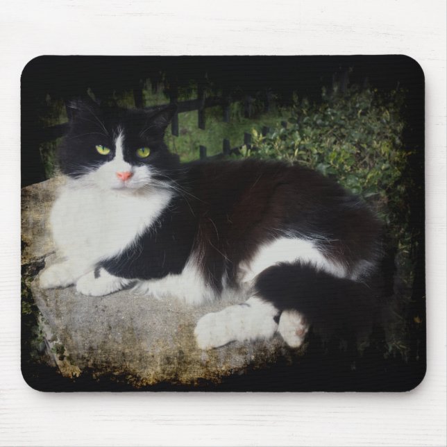 Queen of the Garden Cat Mausepad Mouse Pad (Front)