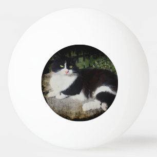 Queen of the Garden Cat Ping Pong Ball