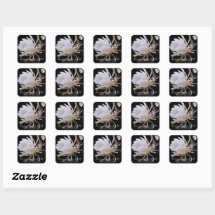 Queen of the Night スクエアシール Square Sticker