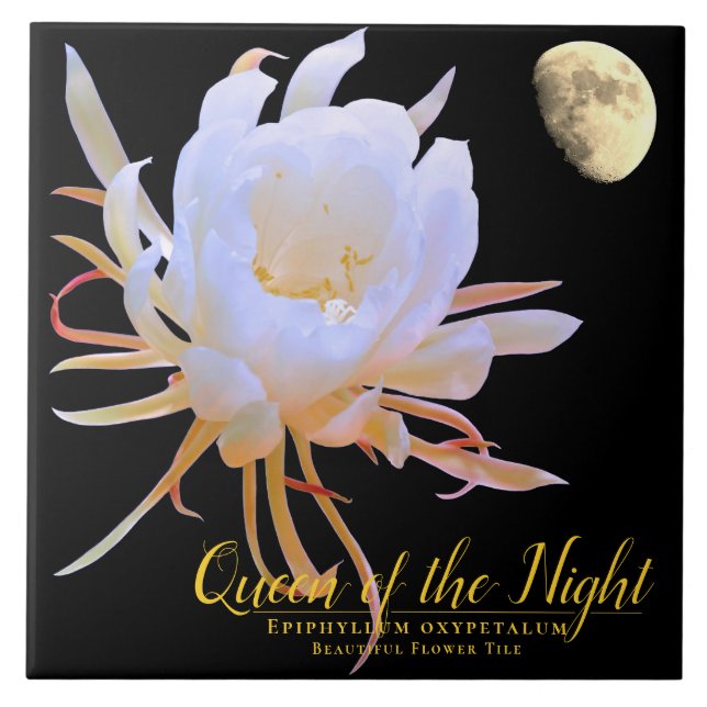 Queen of the Night タイル Ceramic Tile (Front)