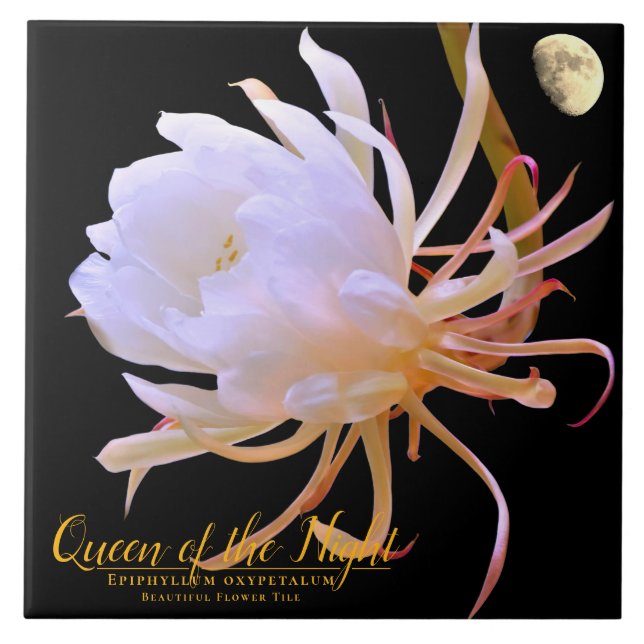 Queen of the Night タイル Ceramic Tile (Front)