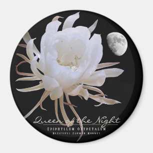 Queen of the Night マグネット Magnet