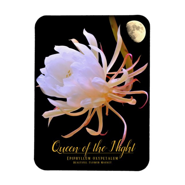 Queen of the Night マグネット Magnet (Vertical)