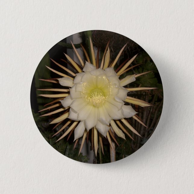 "Queen Of The Night" Cactus Flower 6 Cm Round Badge (Front)