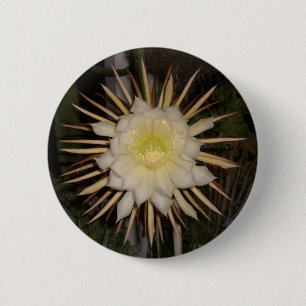 "Queen Of The Night" Cactus Flower 6 Cm Round Badge