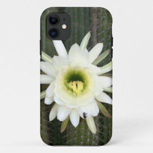 Queen Of The Night Cactus Flower, Karoo Region iPhone 11 Case