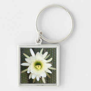 Queen Of The Night Cactus Flower, Karoo Region Key Ring