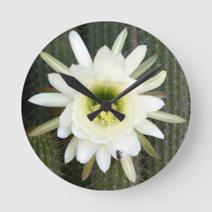 Queen Of The Night Cactus Flower, Karoo Region Round Clock