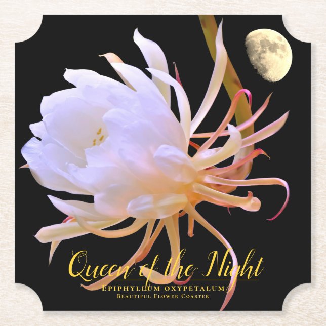 Queen of the Night Paper Coaster (Front)