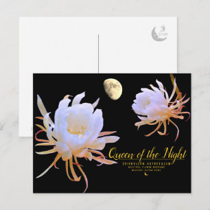 Queen of the Night Postcard