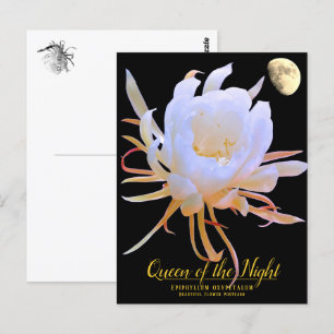 Queen of the Night Postcard
