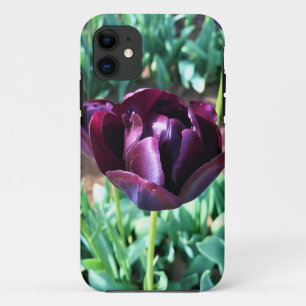 Queen of the Night Tulip, Oregon iPhone 11 Case