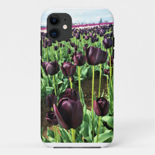 Queen of the Night Tulips, Oregon iPhone 11 Case