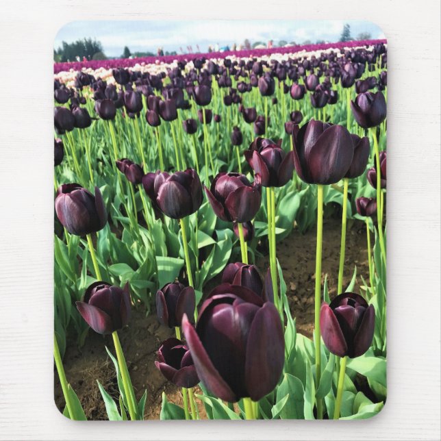 Queen of the Night Tulips, Oregon Mouse Pad (Front)