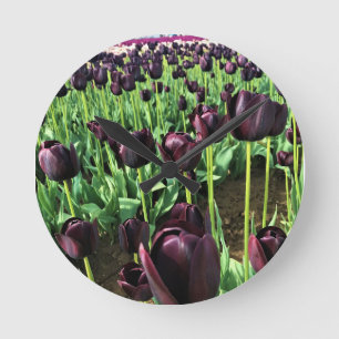 Queen of the Night Tulips, Oregon Round Clock