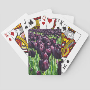 Queen of the Night Tulips Playing Cards