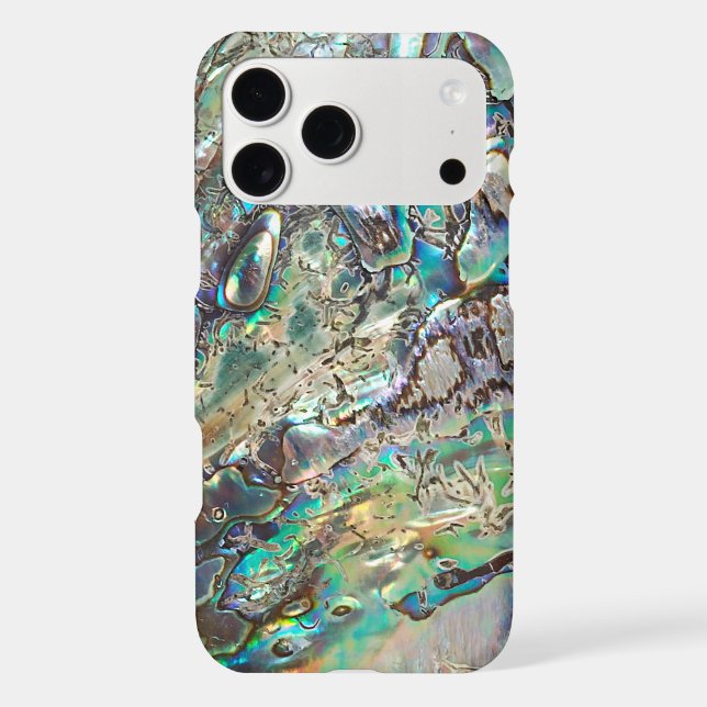 Queen paua shell (Back)