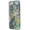 Queen paua shell