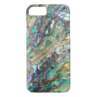 Queen paua shell