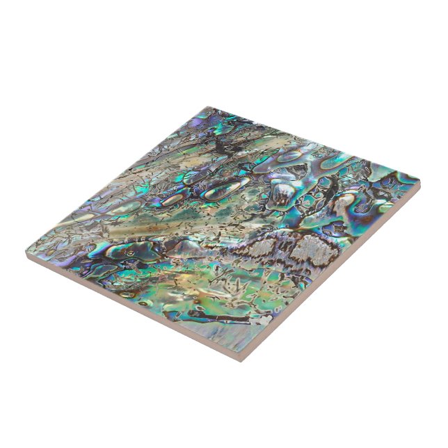 Queen paua shell tile (Side)