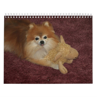 QUEEN SWEETIE POMERANIAN CALENDAR
