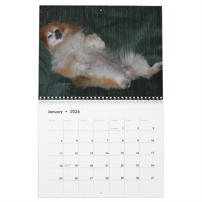 QUEEN SWEETIE POMERANIAN CALENDAR (Jan 2026)