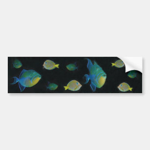 Queen Triggerfish bumper stickers