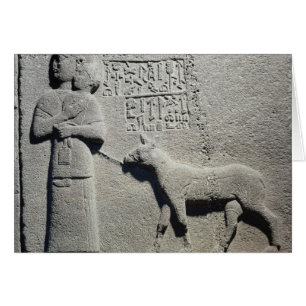 Queen Tuwarissa, wife of King Araras