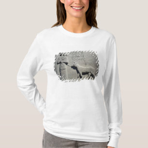 Queen Tuwarissa, wife of King Araras T-Shirt
