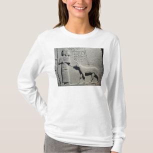 Queen Tuwarissa, wife of King Araras T-Shirt