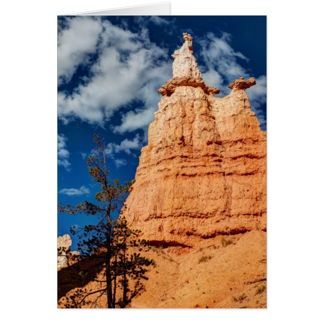 Queen Victoria Queen's Garden Trail (Front)