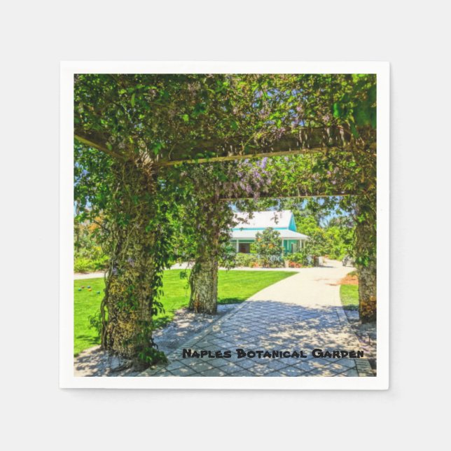 Queen's Wreath Naples Botanical Garden, Florida Napkin (Front)