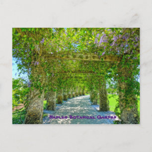 Queen's Wreath Naples Botanical Garden, Florida Postcard