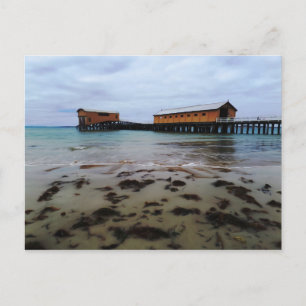 Queenscliff Dreaming Postcard