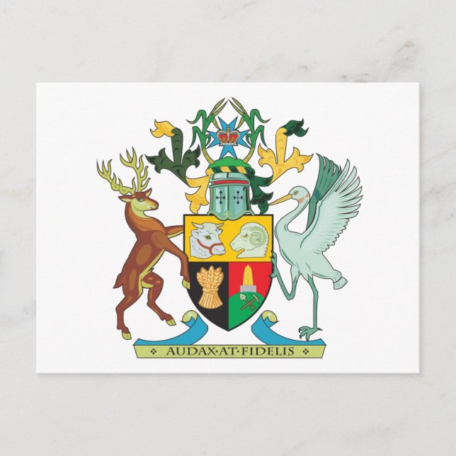 Queensland Coat Of Arms Postcard (Front)