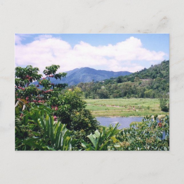 Queensland Postcard (Front)
