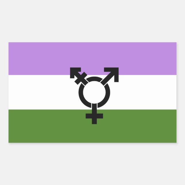 Queer - Gender Queer Pride Rectangular Sticker (Front)