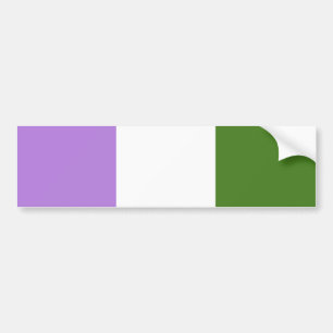 Queer Pride Flag Bumper Sticker