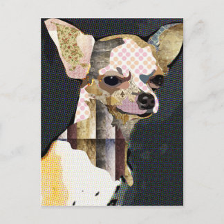 Quem não ama Chiuaua? Postcard