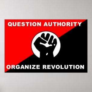 Question Authority Organise Revolution poster