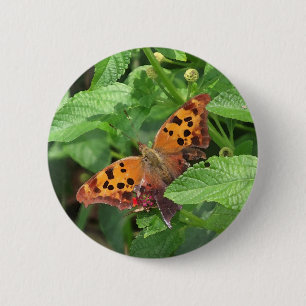 Question Mark Butterfly on Lantana 6 Cm Round Badge