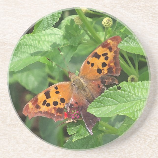 Question Mark Butterfly on Lantana Coaster (Front)