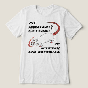 Questionable Appearance And Intentions Tri-Blend Shirt