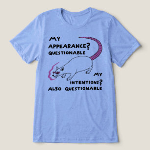 Questionable Intentions Funny Opossum Tri-Blend Shirt
