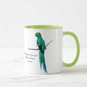 Quetzal drawing Bird illustration Watercolor Mug