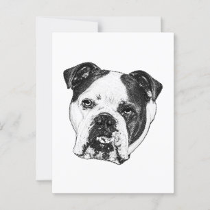 Quick Cheer Bulldog Post Postcard