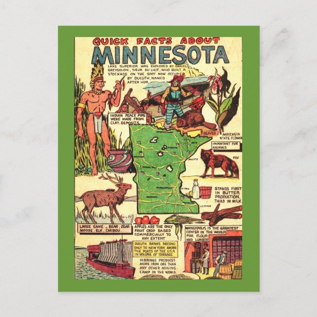 Quick Facts About Minnesota Postcard (Front)