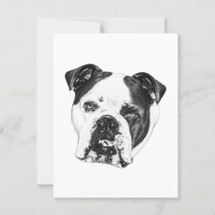 Quick Hello Bulldog Postcard